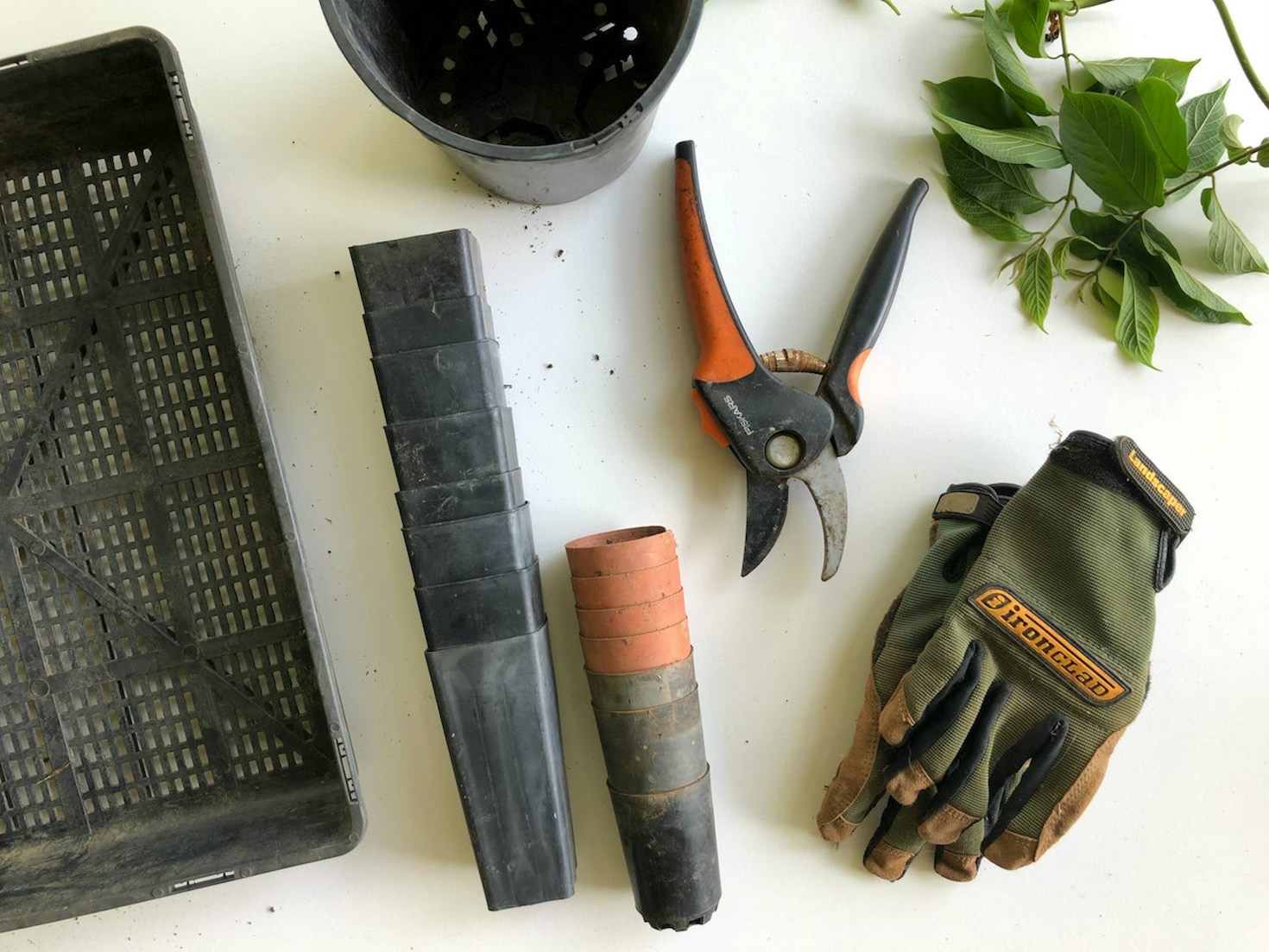 Die Rolle von Gartenarbeit für das Wohlbefinden