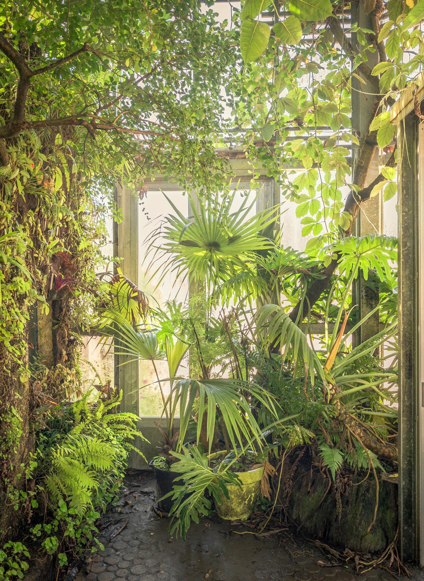Warum ein gepflegter Garten so wichtig ist