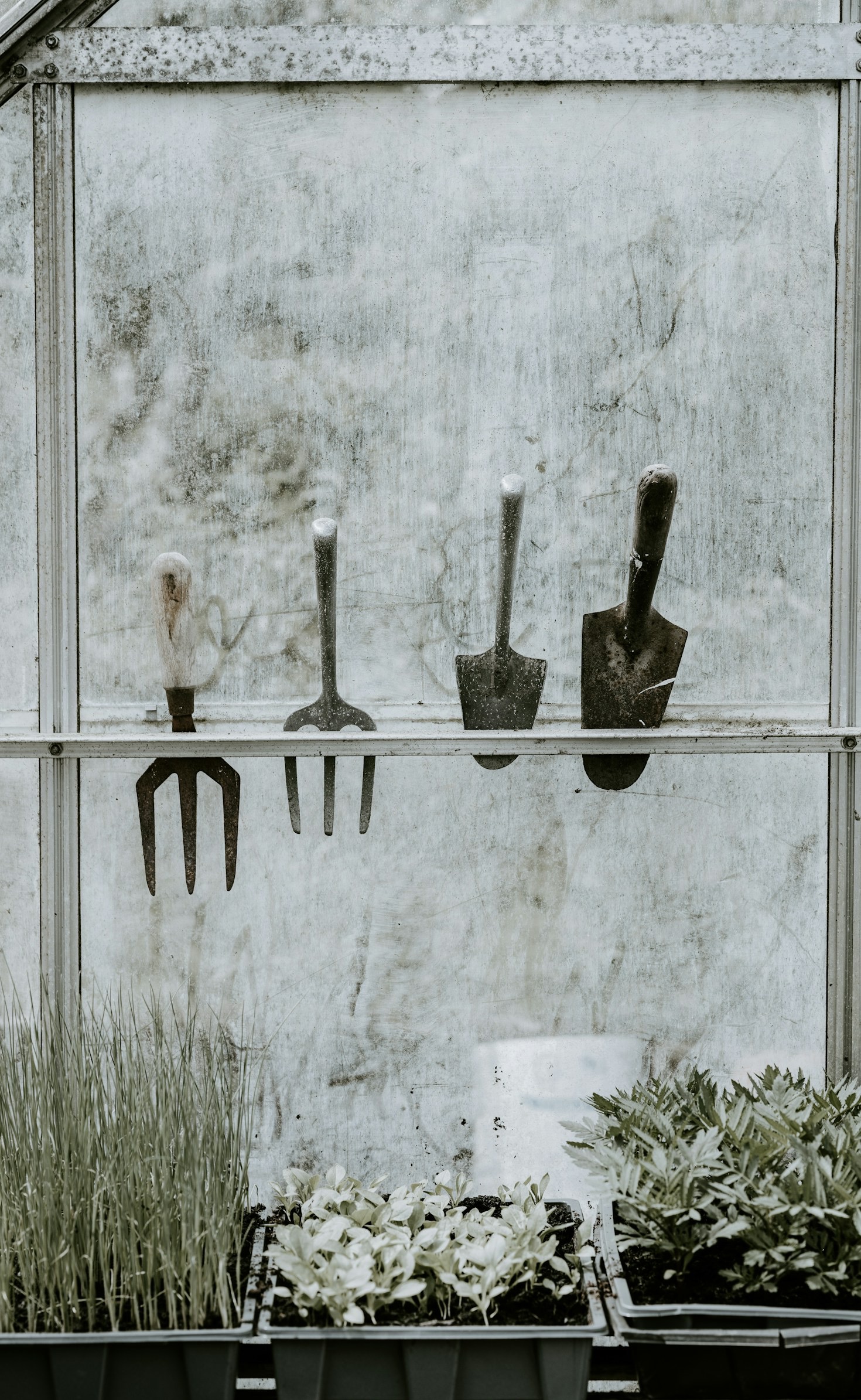 Gemeinschaft und Gartenarbeit: Ein Erfolgsrezept